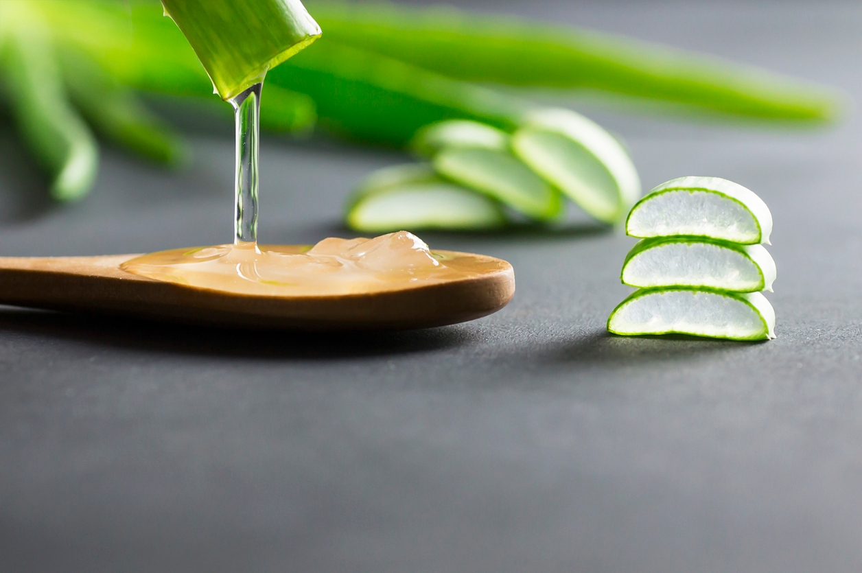 Manfaat Lidah Buaya untuk Kulit dan 5 Rekomendasi Produk dengan Aloe Vera